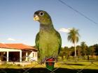 D M-Paraguay Immobilien